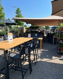 Een impressie van onze Zomersale eerdere edities