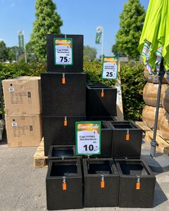 Een impressie van onze Zomersale eerdere edities