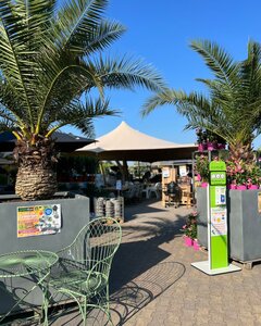 Een impressie van onze Zomersale eerdere edities