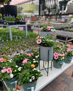 Ontdek de sfeer in ons tuincentrum: