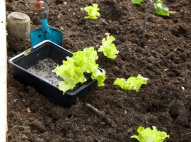 Meststoffen en bestrijding